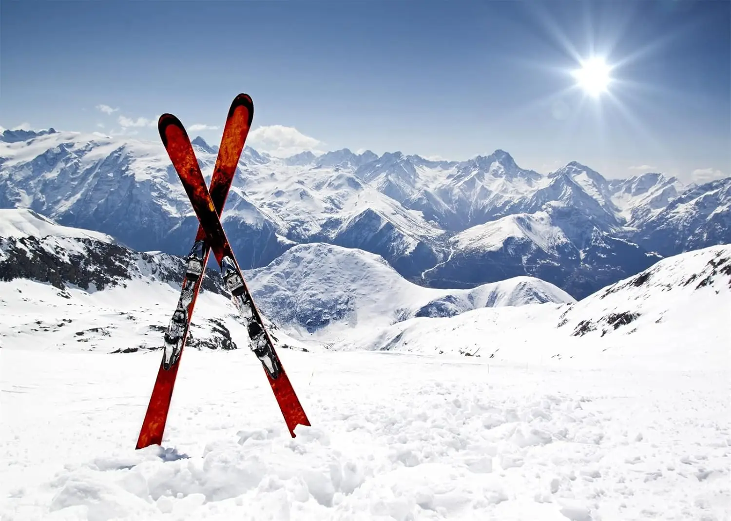 Fond de photographie de studio - Outdoor Adventure Background avis et prix